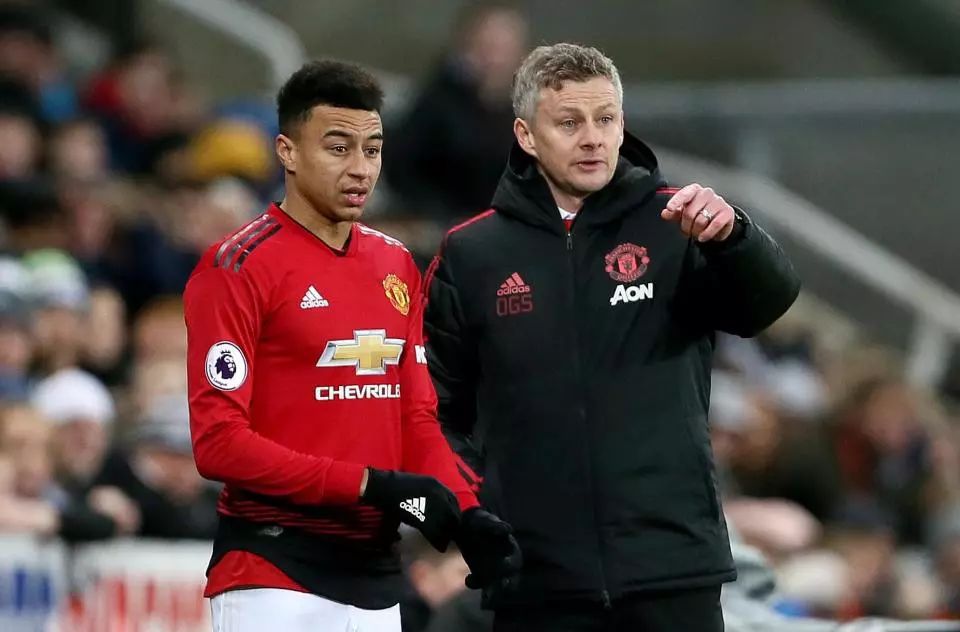 下了良好的 下了良好的